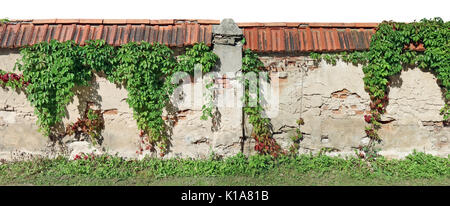 Un lungo frammento di un vecchio monastero di mattoni recinto. Uva selvatica cresce in argilla rossa di piastrelle. Isolato in cima collage panoramico Foto Stock