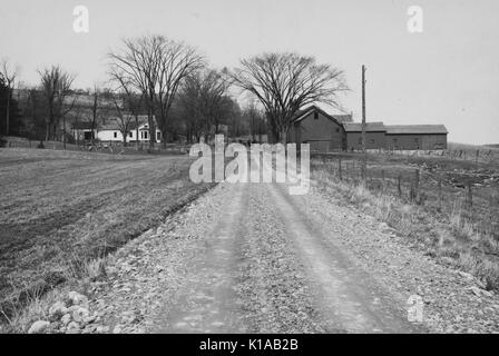 Azienda agricola previsto dalla somministrazione di reinsediamento, lunga sterrata fiancheggiata da terreni agricoli, portando ad una casa e grandi edifici agricoli e fiancheggiata da alberi, Ithaca, New York, 1936. Dalla Biblioteca Pubblica di New York. Foto Stock