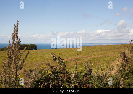 Vista del mare fro la costa del Dorset Foto Stock