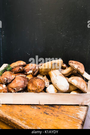 Porcini, Boletus edulis, sul display nella parte anteriore di un ristorante nel centro storico della città di Roma Foto Stock