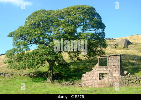 Rovinato agriturismo a scarafaggi, Parco Nazionale di Peak District, Staffordshire, Regno Unito Foto Stock