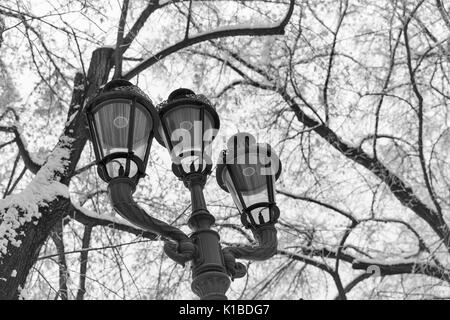 Paesaggio invernale con vecchi lampioni closeup nel parco in bianco e nero. Foto Stock