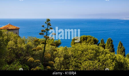 Mare Mediterraneo e alberi a Nizza. Panoramica vista elevata della Riviera Francese, Cote d'Azur, Alpes Maritimes, Francia Foto Stock