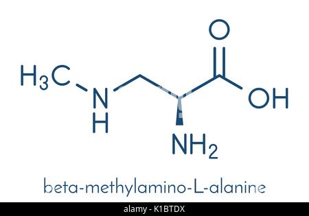 Beta-metilammino-L-alanina (BMAA) tossici amminoacido molecola. Prodotte da cianobatteri. Formula di scheletro. Illustrazione Vettoriale