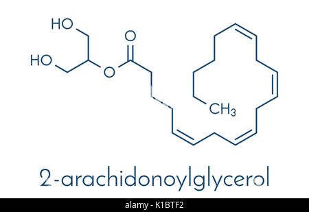 2-arachidonoylglycerol (2-AG) endocannabinoide neurotrasmettitore molecola. Formula di scheletro. Illustrazione Vettoriale