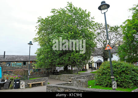 Controverso spazio verde parco contrassegnato per la pavimentazione di riqualificazione oltre al Jacksons Lane a Carmarthen, Carmarthenshire, Wales UK KATHY DEWITT Foto Stock