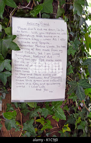 Poesia su albero nella controversa spazio verde parco contrassegnato per la pavimentazione di riqualificazione oltre al Jacksons Lane a Carmarthen, Wales UK KATHY DEWITT Foto Stock