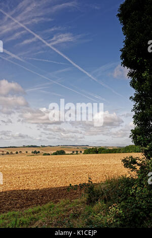 Vista su tutta la campagna del Lincolnshire Wolds,UK,a fine estate Foto Stock