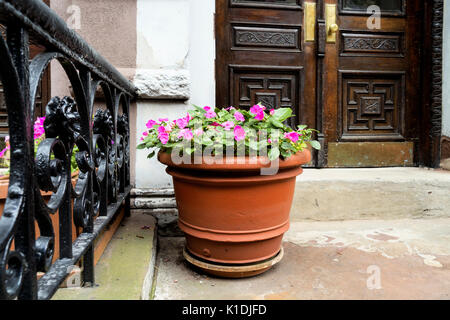 Accogliente piantatrice fiore all'entrata di una New York City arenaria Townhouse Foto Stock