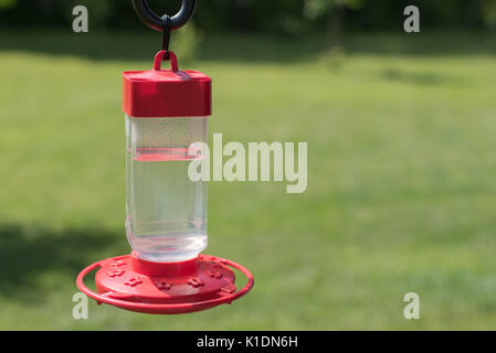 Hummingbird Alimentatore in cortile Foto Stock