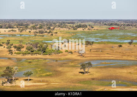 Paludi d'acqua dolce con flussi, i canali e le isole, l'elicottero è su un volo panoramico, vista aerea, Okavango Delta Foto Stock