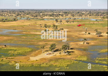 Paludi d'acqua dolce con flussi, i canali e le isole, l'elicottero è su un volo panoramico, vista aerea, Okavango Delta Foto Stock