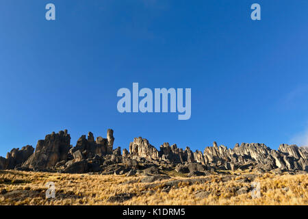 Le formazioni rocciose in huayllay Foto Stock