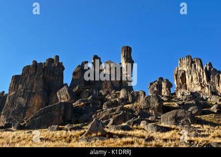 Le formazioni rocciose in huayllay Foto Stock