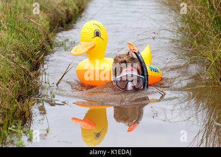 Bog snorkeling nel Campionato del Mondo, Llanwrtyd Wells, Powys, Wales, Regno Unito - Agosto 2017 - i concorrenti devono fare snorkeling in alto e indietro lungo una 60-cantiere scavo attraverso una torbiera nel minor tempo possibile, si tiene ogni anno a Waen Rhydd torbiera in hotel a Llanwrtyd Wells. Un concorrente con un gonfiabile giallo boccagli di anatra sul ritorno del suo tentativo in questo anni xxxii campionato. Credito: Steven Maggio/Alamy Live News Foto Stock