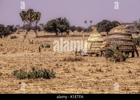 Niger, Delaquara Village, Africa occidentale. Famiglia granai. Foto Stock