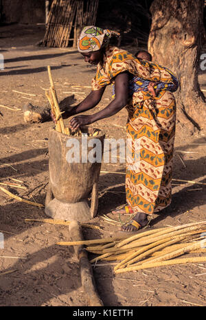 Niger, Africa occidentale. Giovane donna mettendo gli stocchi di miglio in Malta in preparazione per la triturazione di loro per fare la farina. Foto Stock