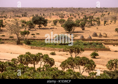 Niger, Africa occidentale, vicino Barkewa. Giardino racchiuso in un acqua secca-corso in semi-arido Sahel. Foto Stock