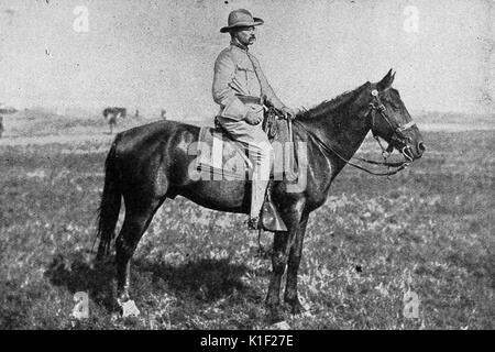 Ritratto del colonnello Theodore Roosevelt su un cavallo in un campo, 1898. Foto Stock