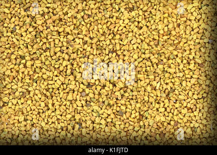 Close up asciugato fieno greco Foto Stock