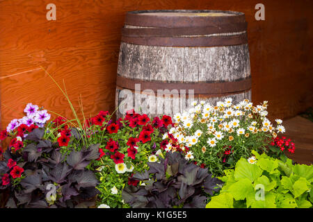 Il Parkside Pioneer Patch mostra di vecchi attrezzi e veicoli con fiori a Winkler, Manitoba, Canada. Foto Stock