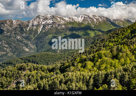 Massiccio della Punta Cappella, vista dal sentiero GR 20 vicino al rifugio Capannelle, Corsica, Francia Foto Stock