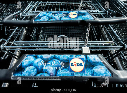 Incatenati e bloccato carrelli della spesa al supermercato Lidl, Bourne, Lincolnshire, Inghilterra, Regno Unito. Foto Stock