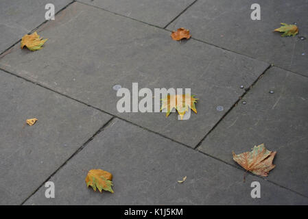 Caduto Foglie di autunno sul marciapiede europea Foto Stock