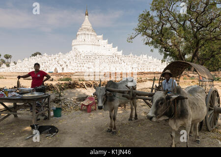 Oxcart tradizionali di fronte Hsinbyume Paya, Mingun, Myanmar. Foto Stock