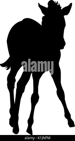 Vista la silhouette di un cucciolo di Zebra Illustrazione Vettoriale