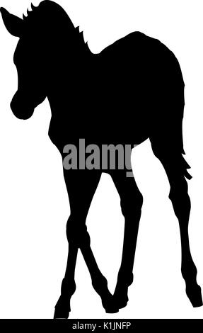 Vista la silhouette di un cucciolo di Zebra Illustrazione Vettoriale