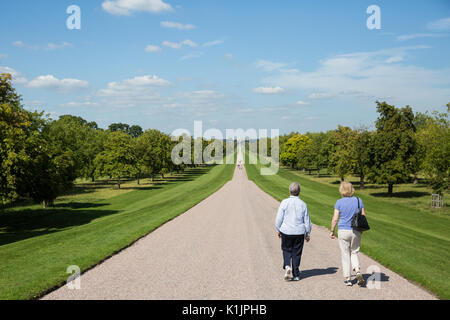 Windsor, Regno Unito. Il 25 agosto, 2017. Una vista lungo la lunga passeggiata in Windsor Great Park verso il Castello di Windsor. Foto Stock