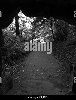 Vista attraverso il sottopasso ponte di donna che cammina sulla strada forestale in bianco e nero Foto Stock