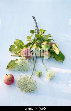 Bouquet di fiori selvaggi con mele Foto Stock