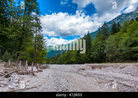 Asciutto alveo di montagna, di boschi e di alberi, montagne sullo sfondo Foto Stock