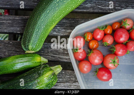 Prodotti freschi raccolti formano un giardino di casa qui mostrato su una panchina da giardino. Foto Stock