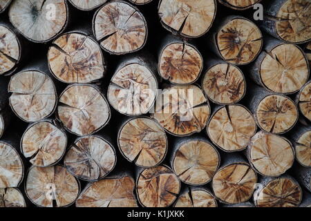 In legno naturale sfondo.closeup di legna da ardere spaccati.visibile legna da ardere impilata Foto Stock