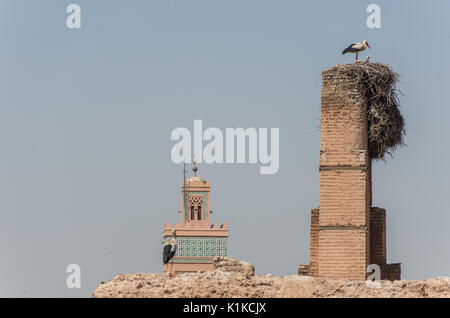 Cicogne sul tetto del Palazzo El Badi (Palais El Badi) in Marrakech , Marocco Foto Stock