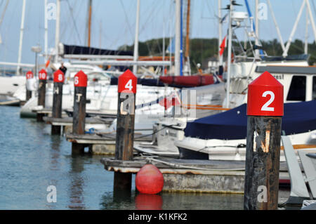 Lo yacht haven marina a Cowes sull'isola di Wight solent attracco e ormeggi yachting e porti in barca traghetto per l'isola di Wight cowes week Foto Stock