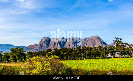 Hottentot-Holland montagne circondate da vigneti e campi coltivati nella regione vinicola di Stellenbosch nel Western Cape del Sud Africa Foto Stock