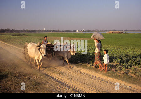 Carrello di giovenco al Lago Taungthaman, Amarapura, Mandalay Birmania (Myanmar) Foto Stock