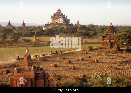 Tempio di Thatbyinnyu e pagode di pianura (visto dalla Shwesandaw Pagoda), pagano (Bagan), Birmania (Myanmar) Foto Stock
