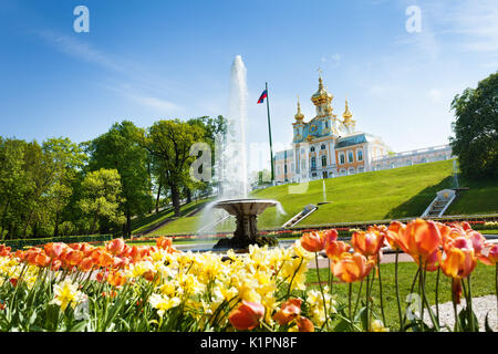 Vista panoramica del Grand Palace e la Coppa Francese Fontana nel parco inferiore di Peterhof, Russia Foto Stock