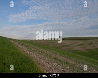 Paesaggio inglese vicino a Brixton Deverill, Wiltshire, Inghilterra Foto Stock