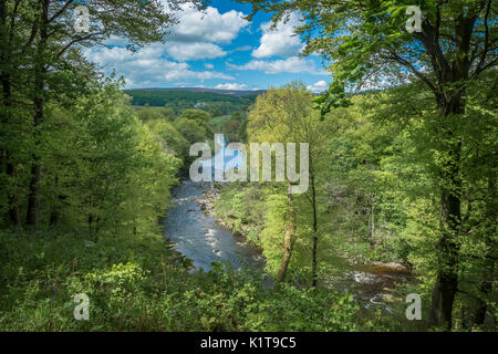 La vista di Barden Torre da Bolton Abbey bosco nelle vicinanze Skipton, North Yorkshire Foto Stock