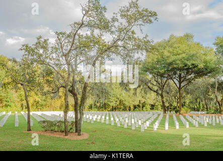 Il Cimitero Nazionale a Bushnell Florida, dove i militari Usa i veterani sono sepolti. Foto Stock