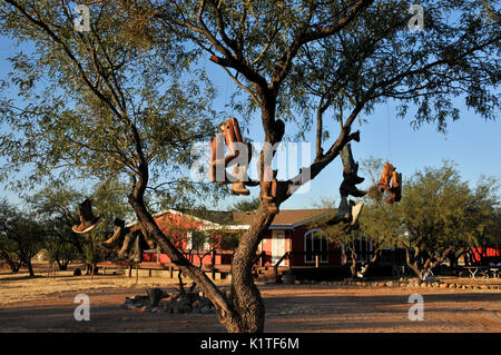 Vecchio stivali da cowboy appeso a un albero, Green Valley, Arizona, Stati Uniti. Foto Stock