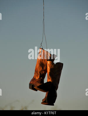 Vecchio stivali da cowboy appeso a un albero, Green Valley, Arizona, Stati Uniti. Foto Stock