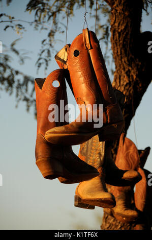 Vecchio stivali da cowboy appeso a un albero, Green Valley, Arizona, Stati Uniti. Foto Stock