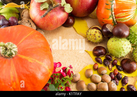 La zucca con nocciole, castagne e noci, prodotti di autunno Foto Stock